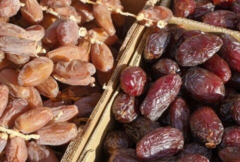 Exploring Tunisian Dates varieties Deglet Nour Kenta