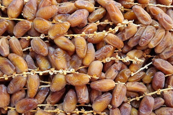 Tunisian Branched Dates Deglet Noor