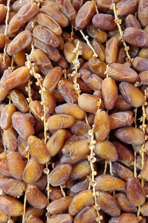 tunisian natural branched dates deglet noor